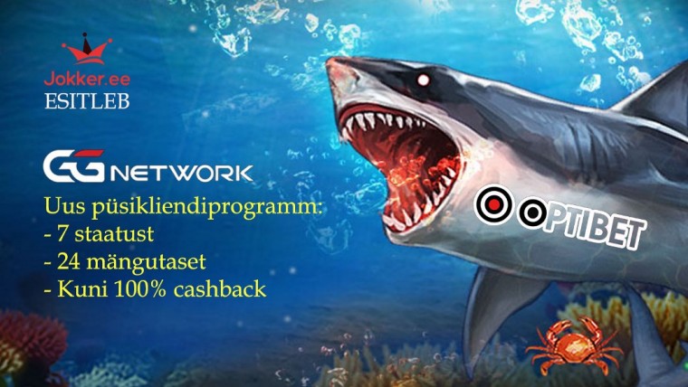 Optibeti pokkeritoas käivitus püsikliendiprogramm - cashback kuni 100%